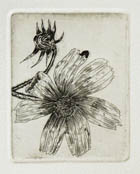 版画作品 民家 20