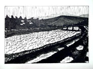 スケッチ作品 160