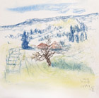 スケッチ作品 61