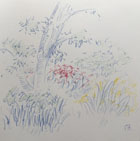 スケッチ作品 84